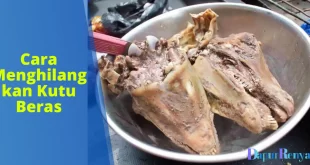 Cara Membersihkan Kepala Kambing Sebelum Dimasak