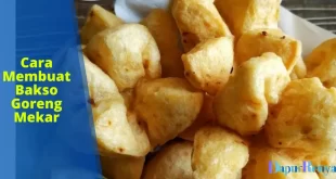 Cara Membuat Bakso Goreng Mekar