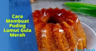 cara membuat puding lumut gula merah